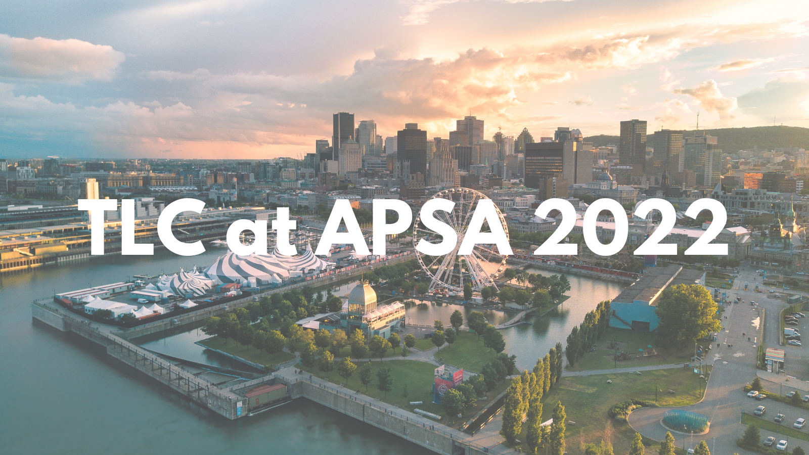 link to our tlc at apsa 2022 conference page